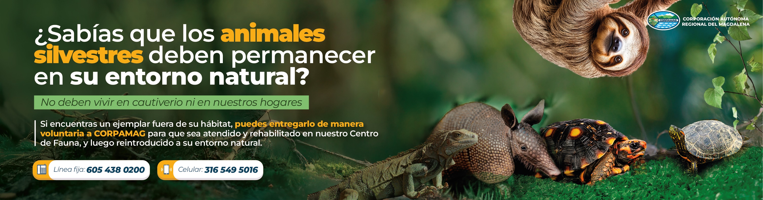 Banner - Centro de atención de fauna