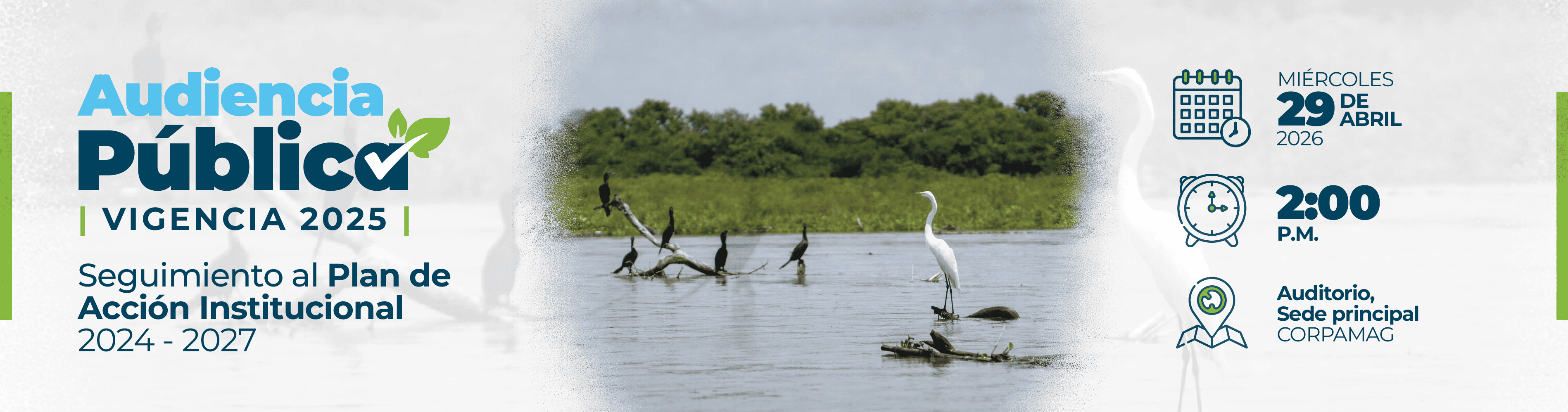 AUDIENCIA PUBLUICA PLAN DE ACCION
