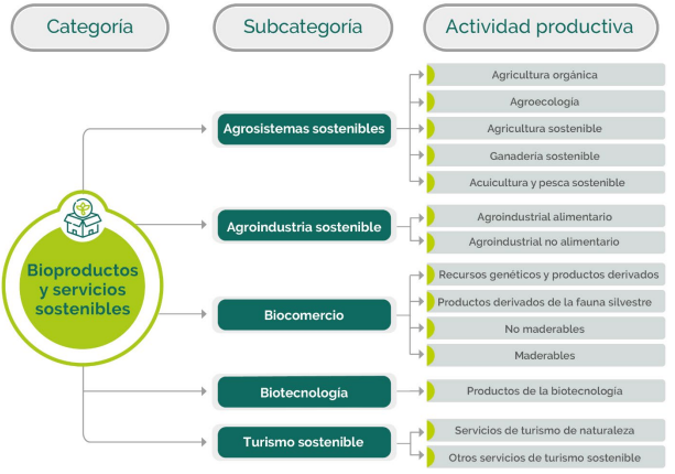 CATEGORIZACION DE LOS NEGOCIOS VERDES