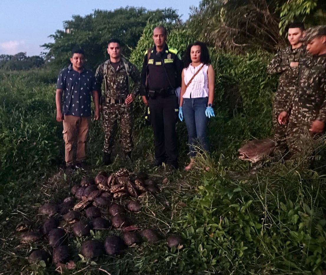 hicoteas en la cienaga junto a personal de corpamag y policia