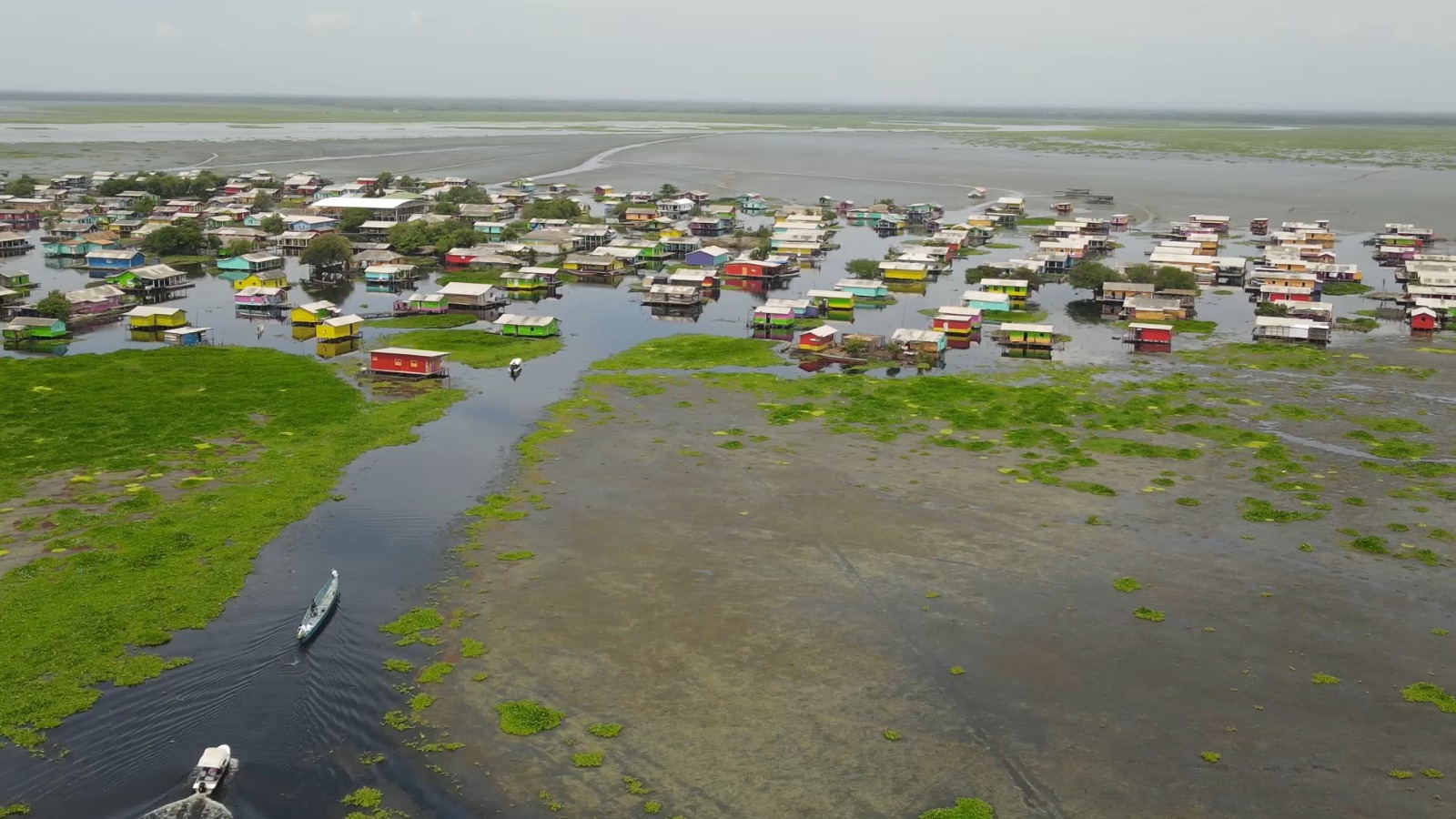 Panoramica Hydrilla Nueva venecia