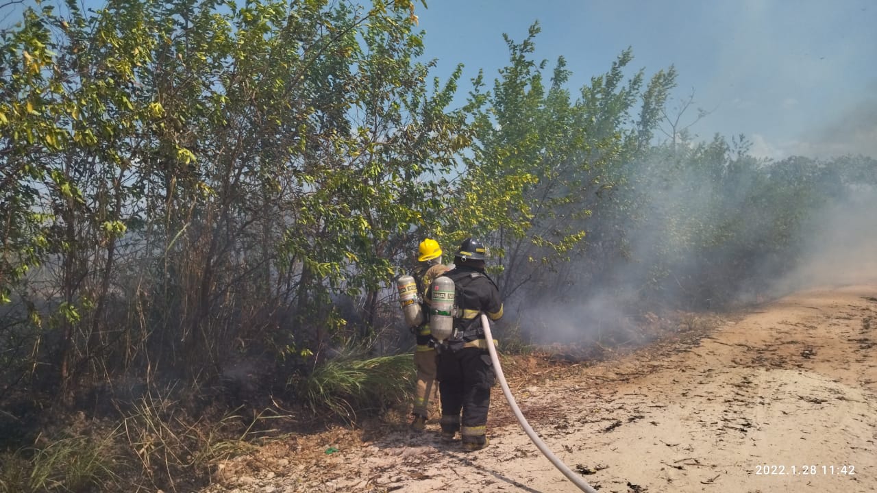 Bombero apagando un incendio