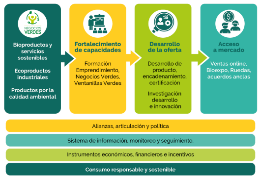 LINEAS ESTRATEGICAS