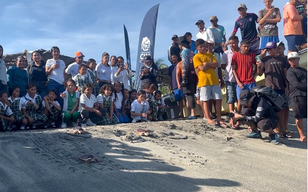 Panoramica tortugas y comunidad en la playa