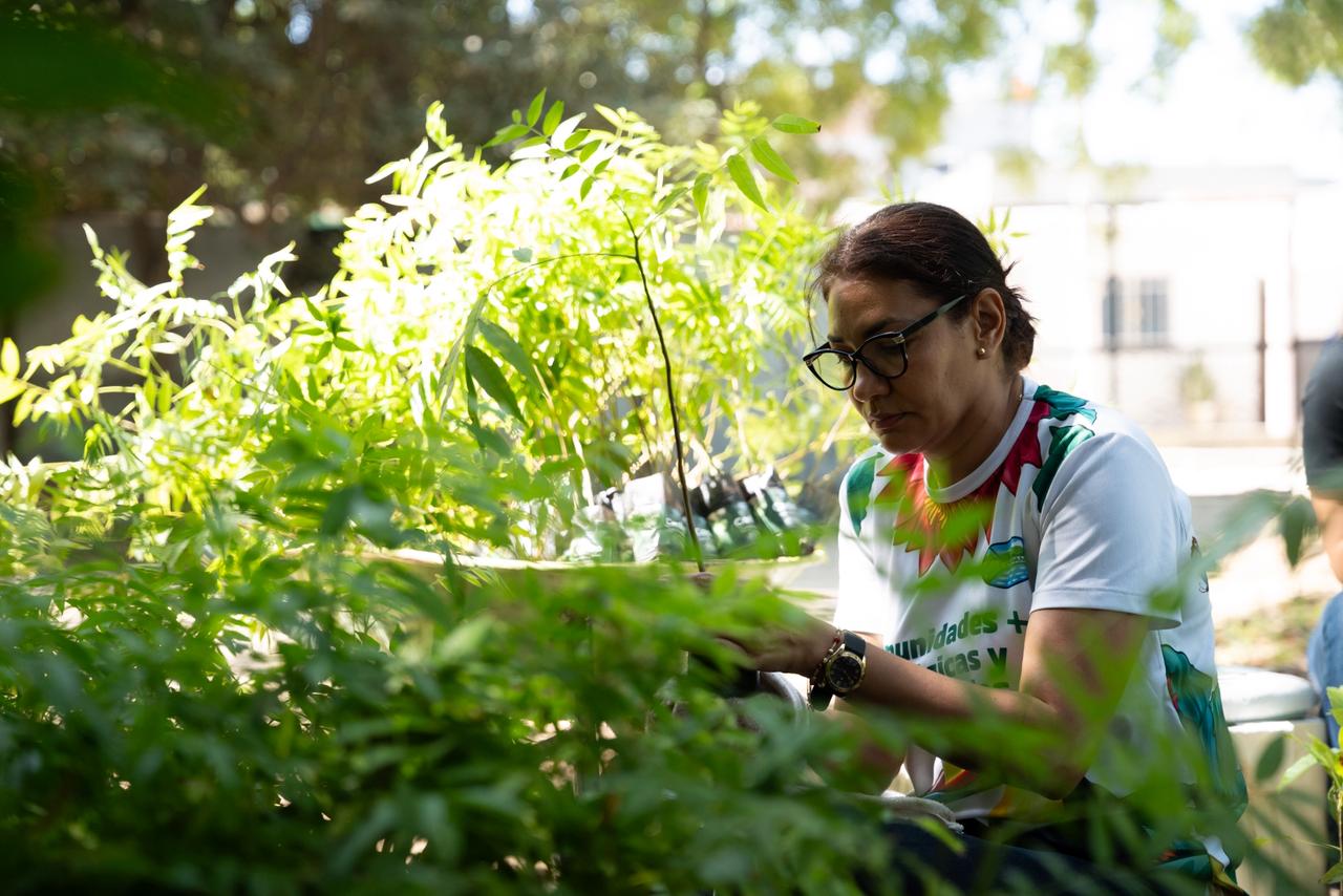 Funcionaria de CORPAMAG en el vivero limpiando los arboles