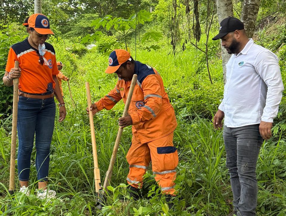 Personal de la defensa civil y corpamag sembrando