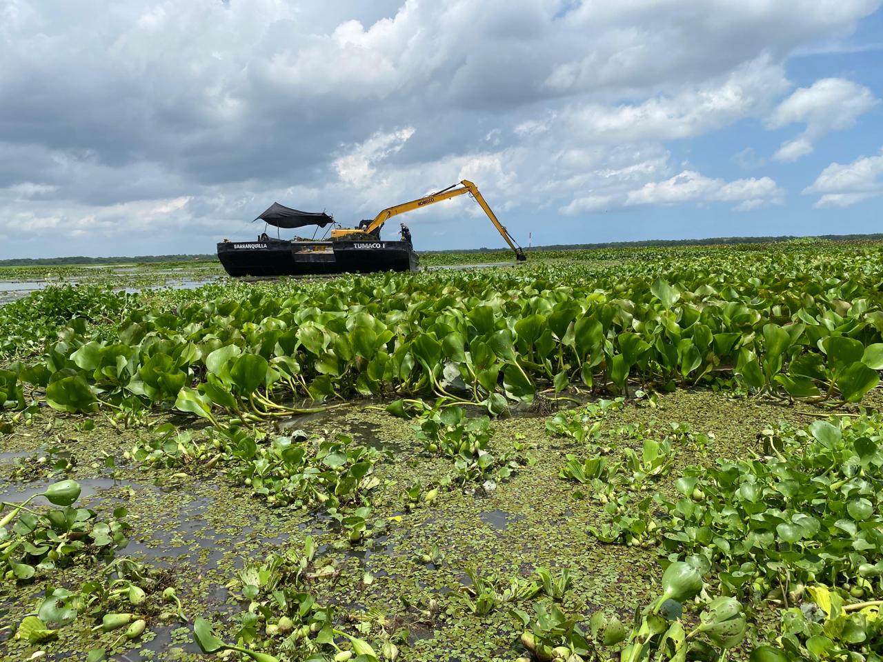 Maquina de fondo removiendo hydrilla