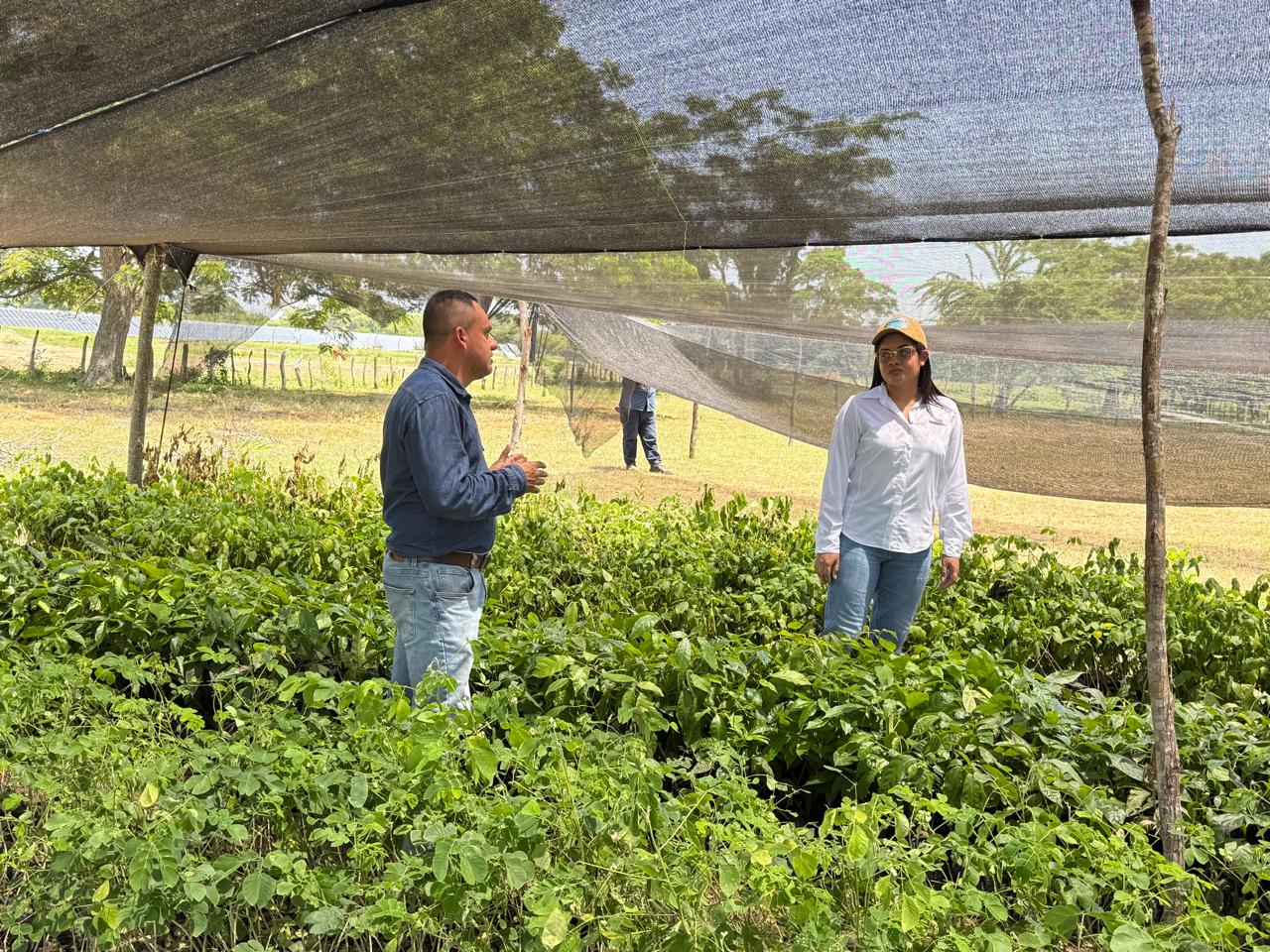 Subdirectora tecnica con contratista revisando vivero