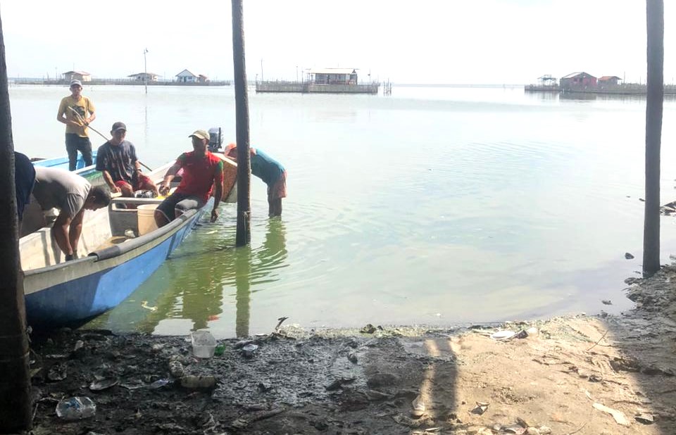 Pescadores en canoa se observa la cienaga con algas en Tasajera