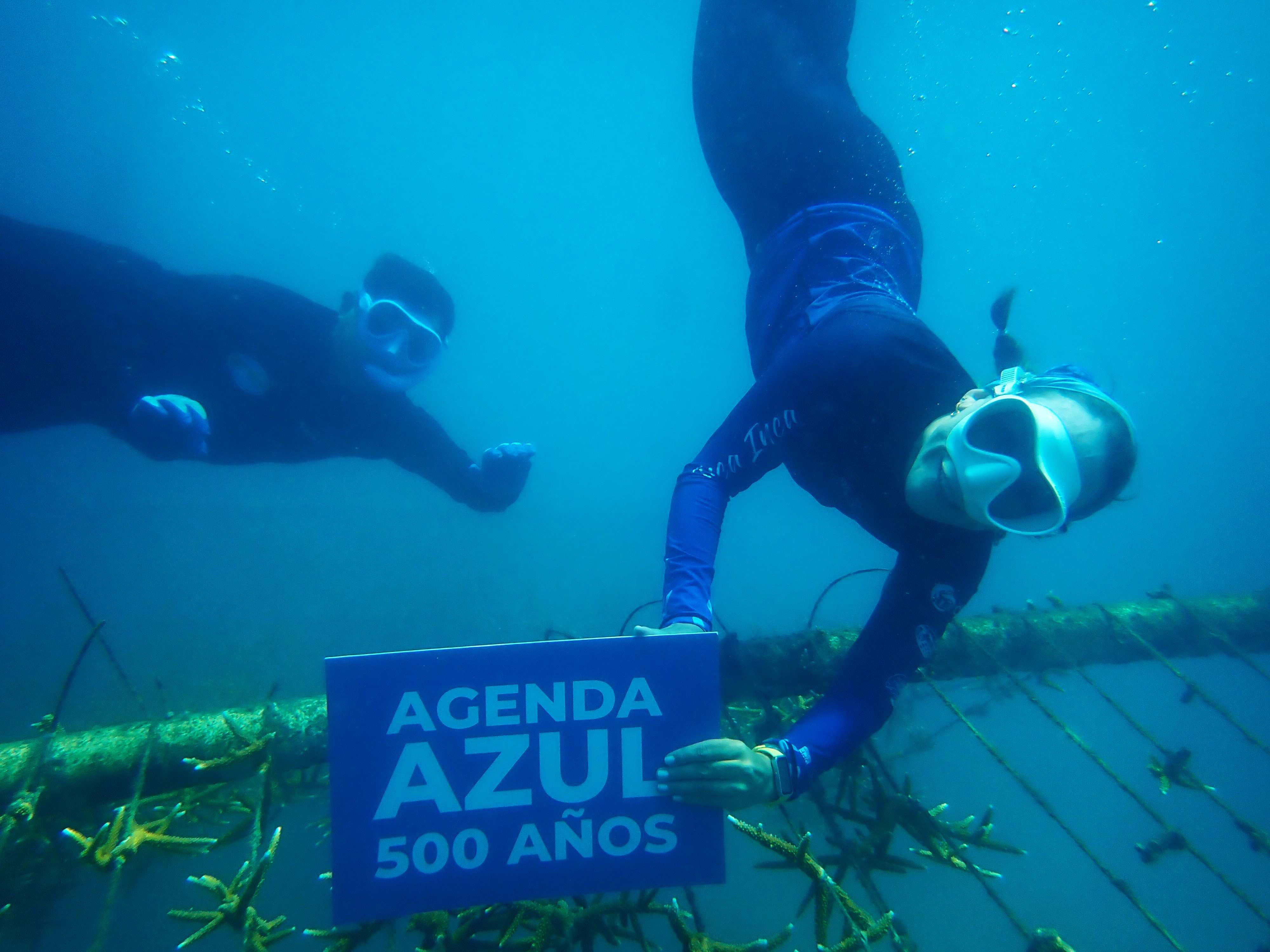 Director de CORPAMAG y Biologa en el fondo marino junto a corales sosteniendo letrero Agenda Azul