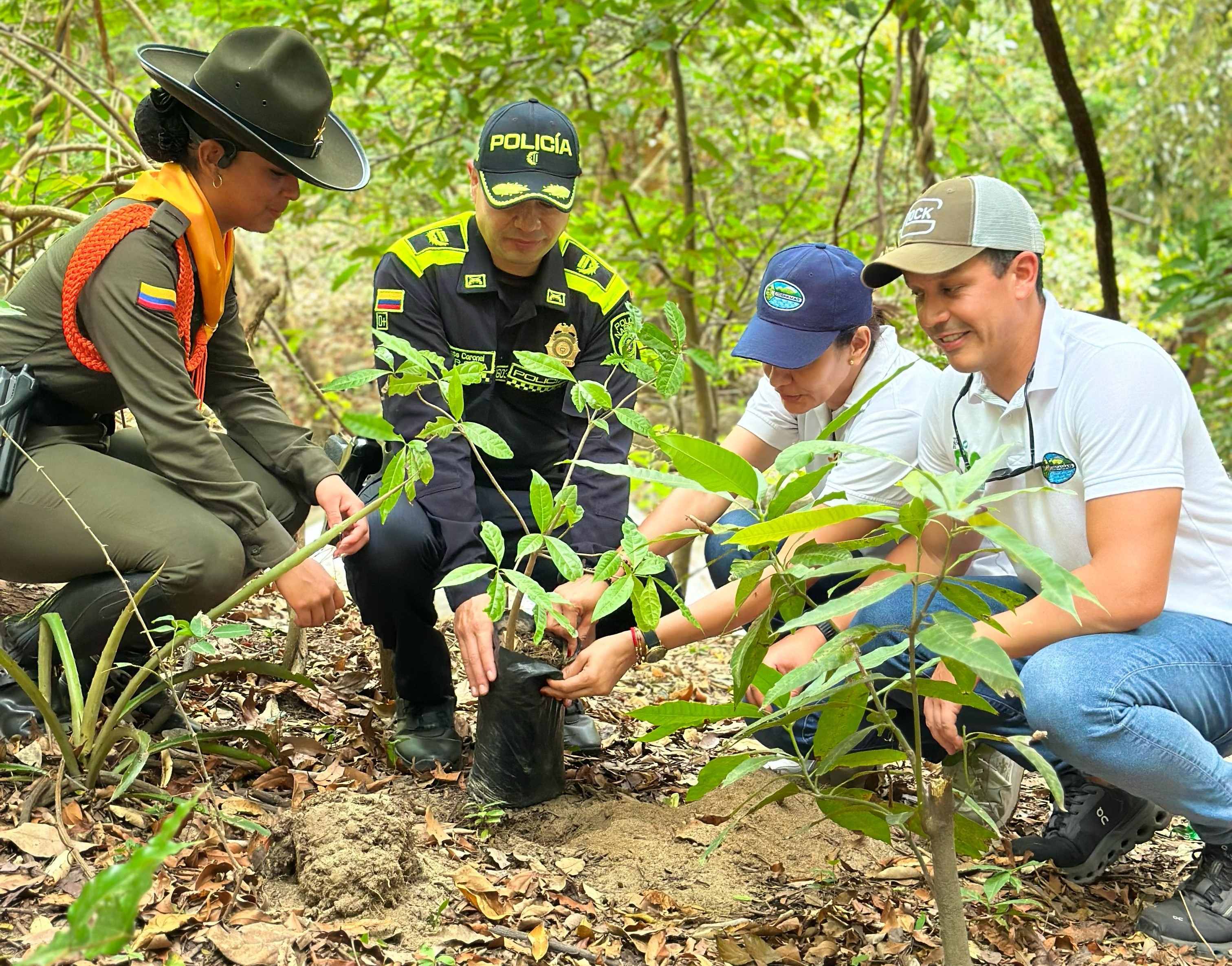 Funcionarios y policia sembrando arbol en puerto mosquito
