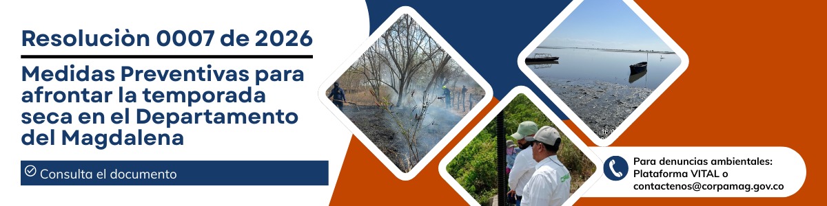 BANNER TEMPODARA SECA