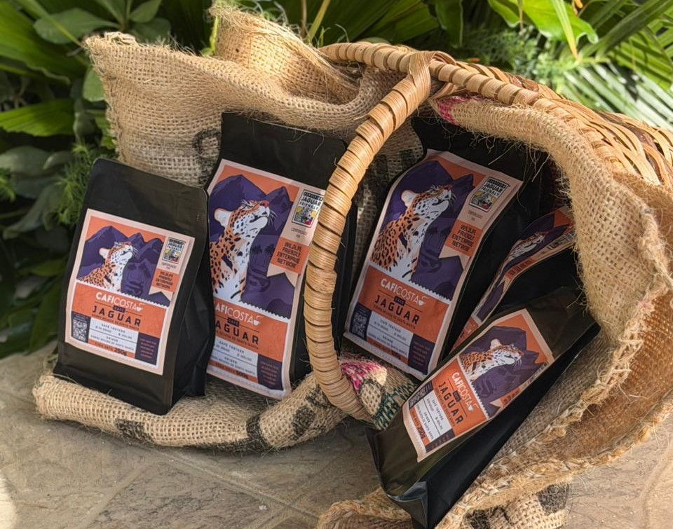 Bolsas de cafe sello jaguar en canasto