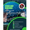 buceo_reef_shepherd