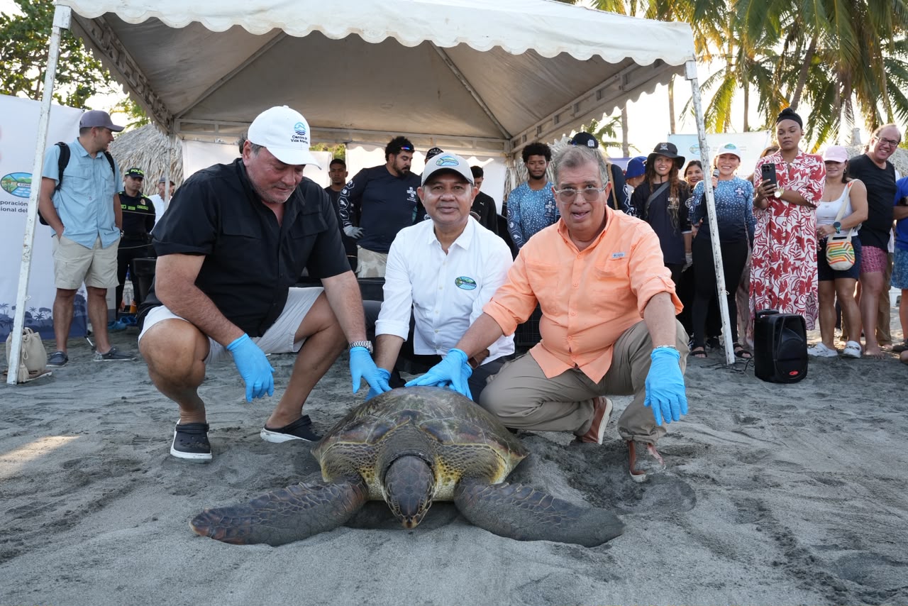 Fabio Arjona Minambiente, Director de Corpamag y Director Centtro de Vida Marina con tortuga liberando en la playa