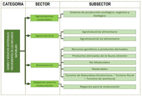 Mapa conceptual categoría bienes y servicios sostenibles provenientes de los recursos naturales