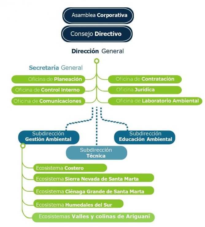 organigrama