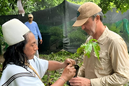 Entrega de árboles, Corpamag, Medio Ambiente, Reforestación