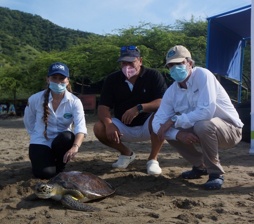 Director Carlos Francisco liberando tortuga
