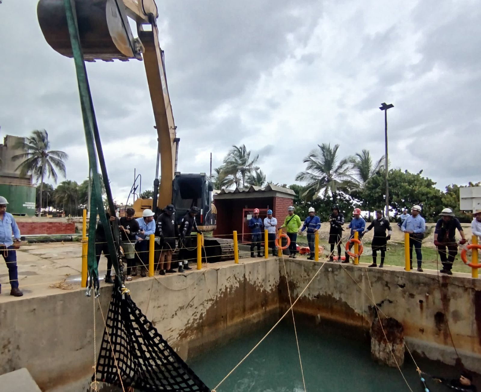 Sobrado de Tiburòn es nuevamente rescatado por el Centro de Fauna Marina