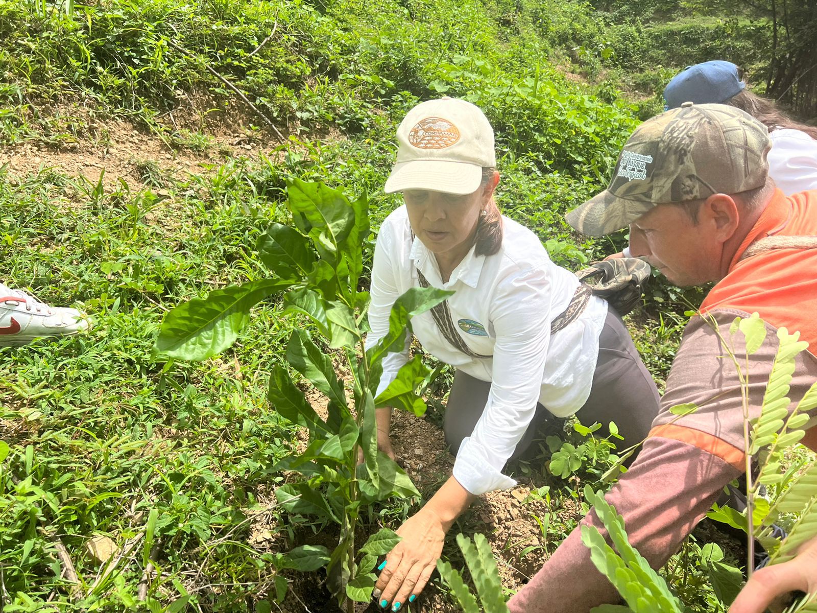 Funcionaria sembrando un arbol con una persona de la comunidad