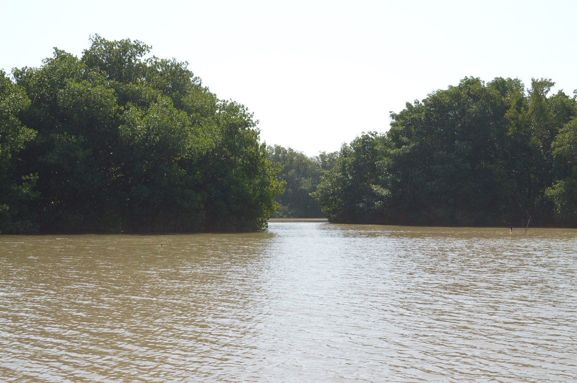 Ciénaga Grande de Santa Marta