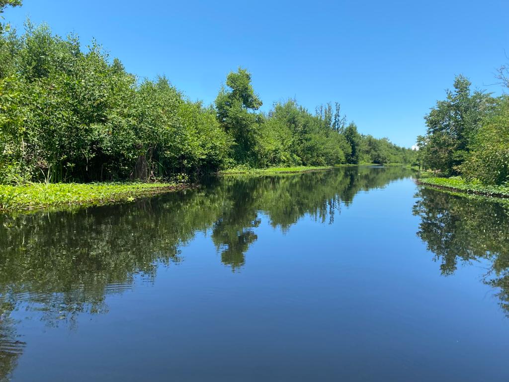 Panoramica Caño Caleta del Tambor