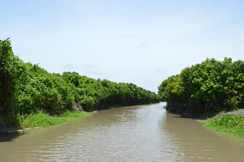imagen del Caño Michichoa, se observa el agua limpia de maleza flotante y emergente y la vegetación alrededor verde y frondosa