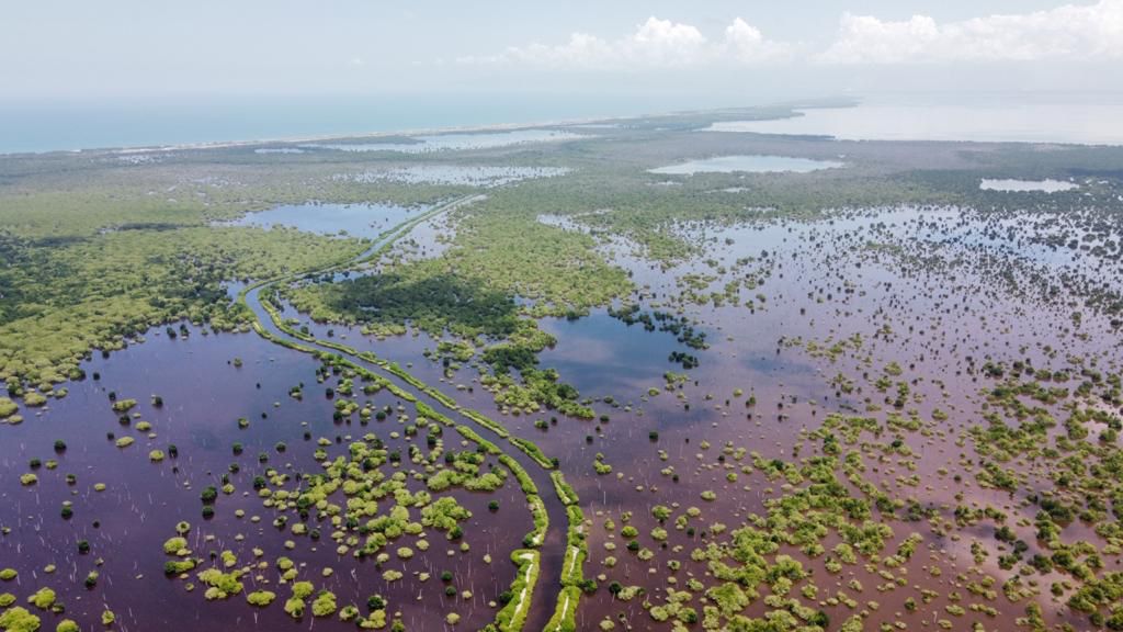 Panoramica Cienaga Grande