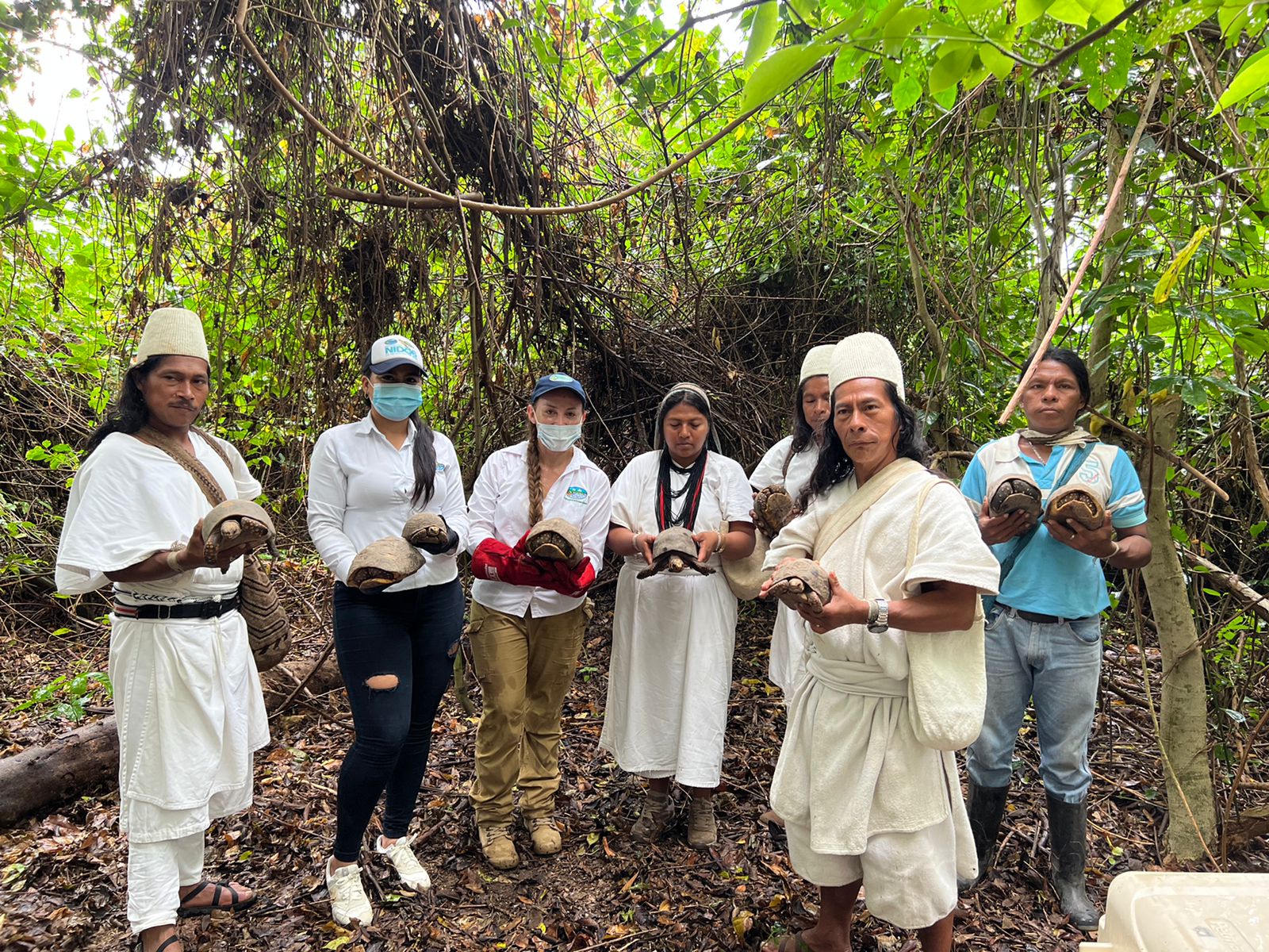 Grupo de personas en el bosque con morrocoyos en la mano