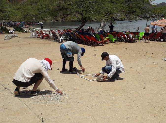 Equipo de trabajo monitoreando playas