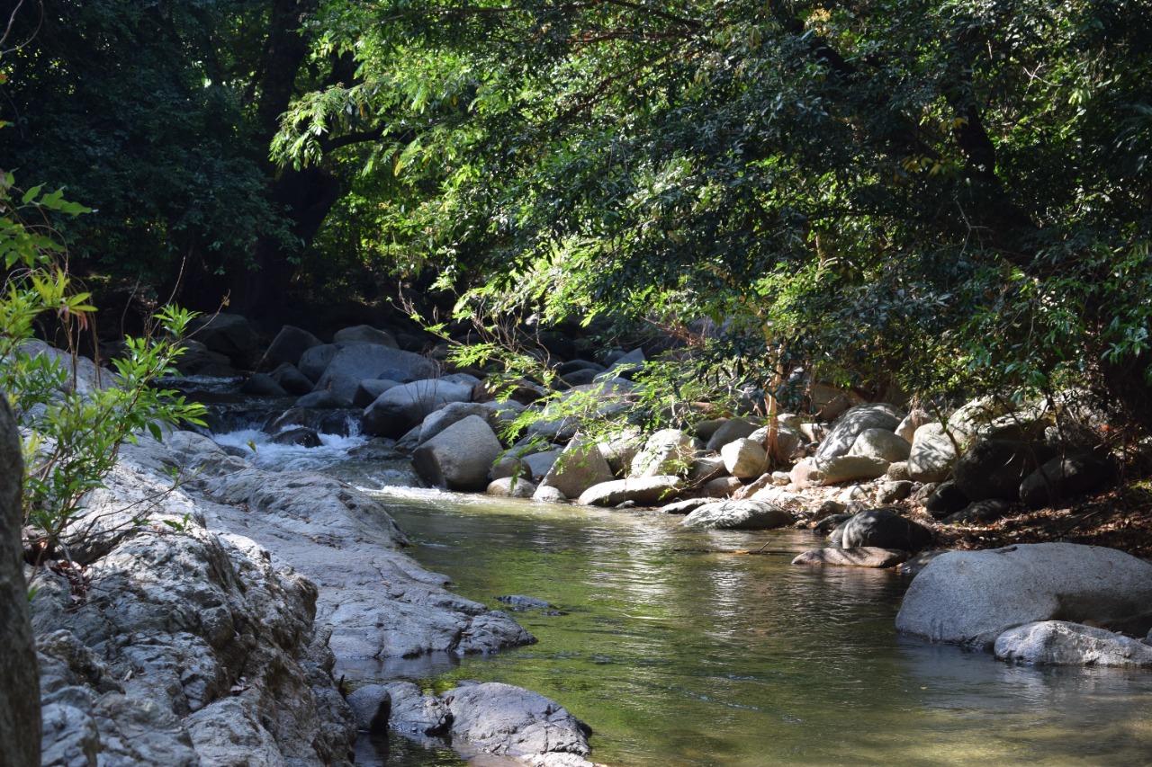 imagen de un rio