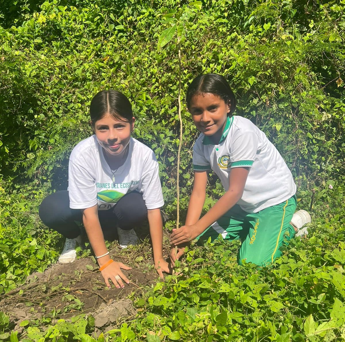Dos niñas con árbol sembrando 