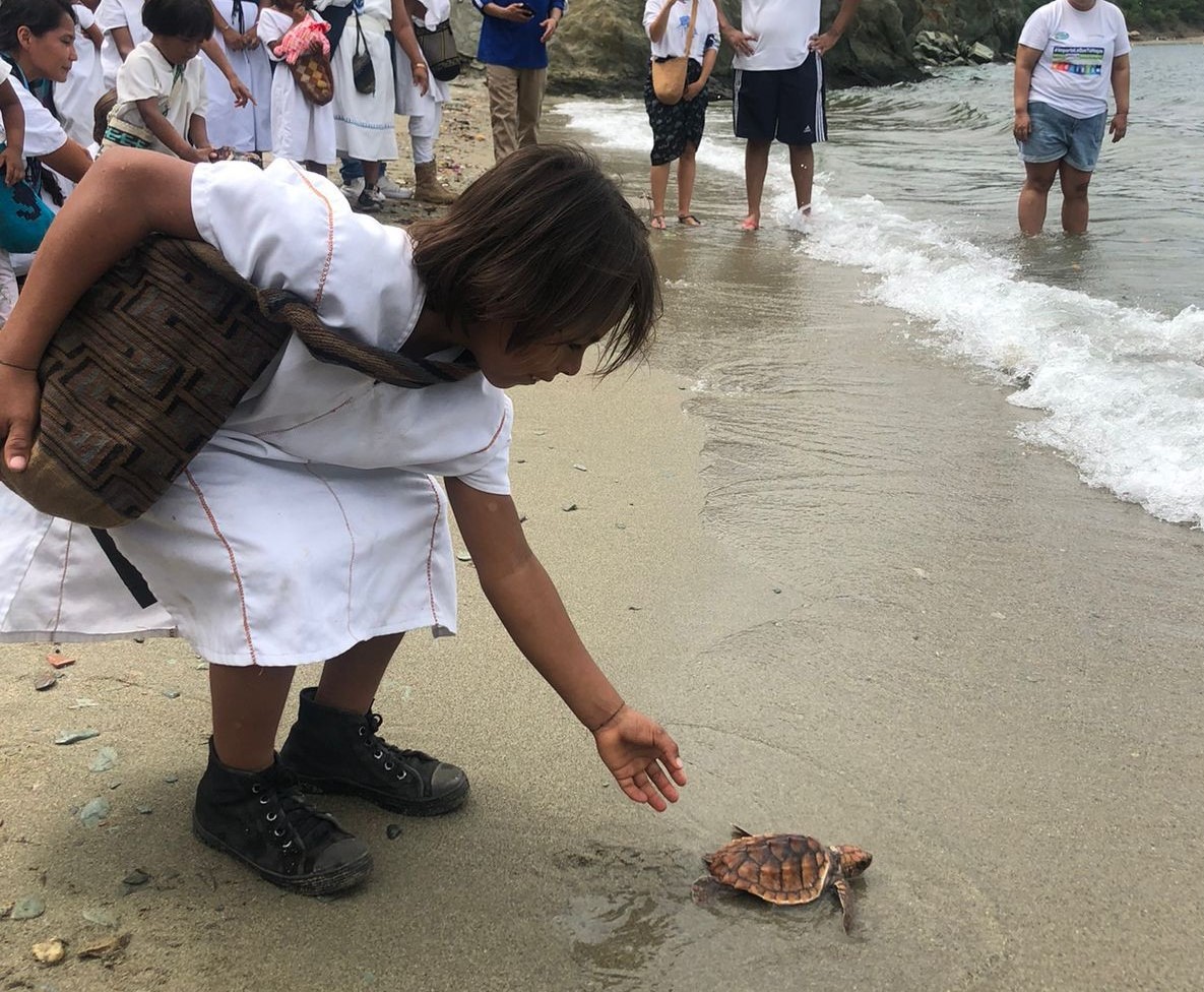 Niño indigena liberando tortufga en la playa