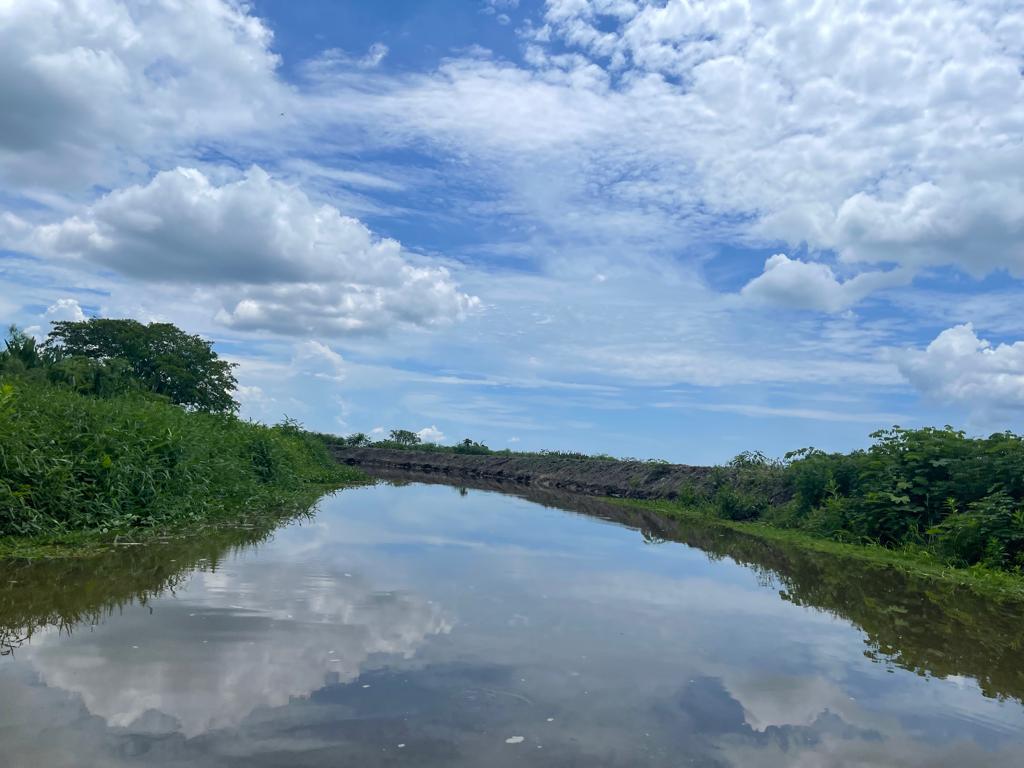 Panoramica Los Micos