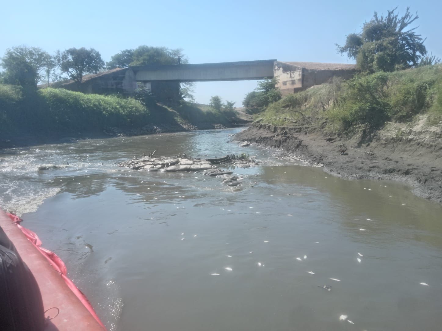 Caño Zapayan con peces muertos 